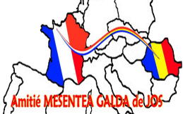 mesentea